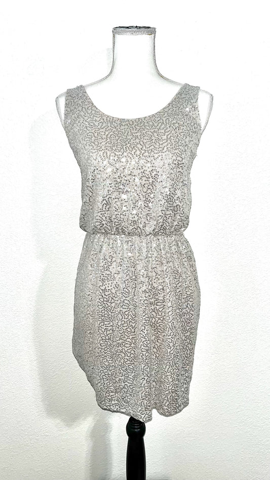 Silver Sequin Dress