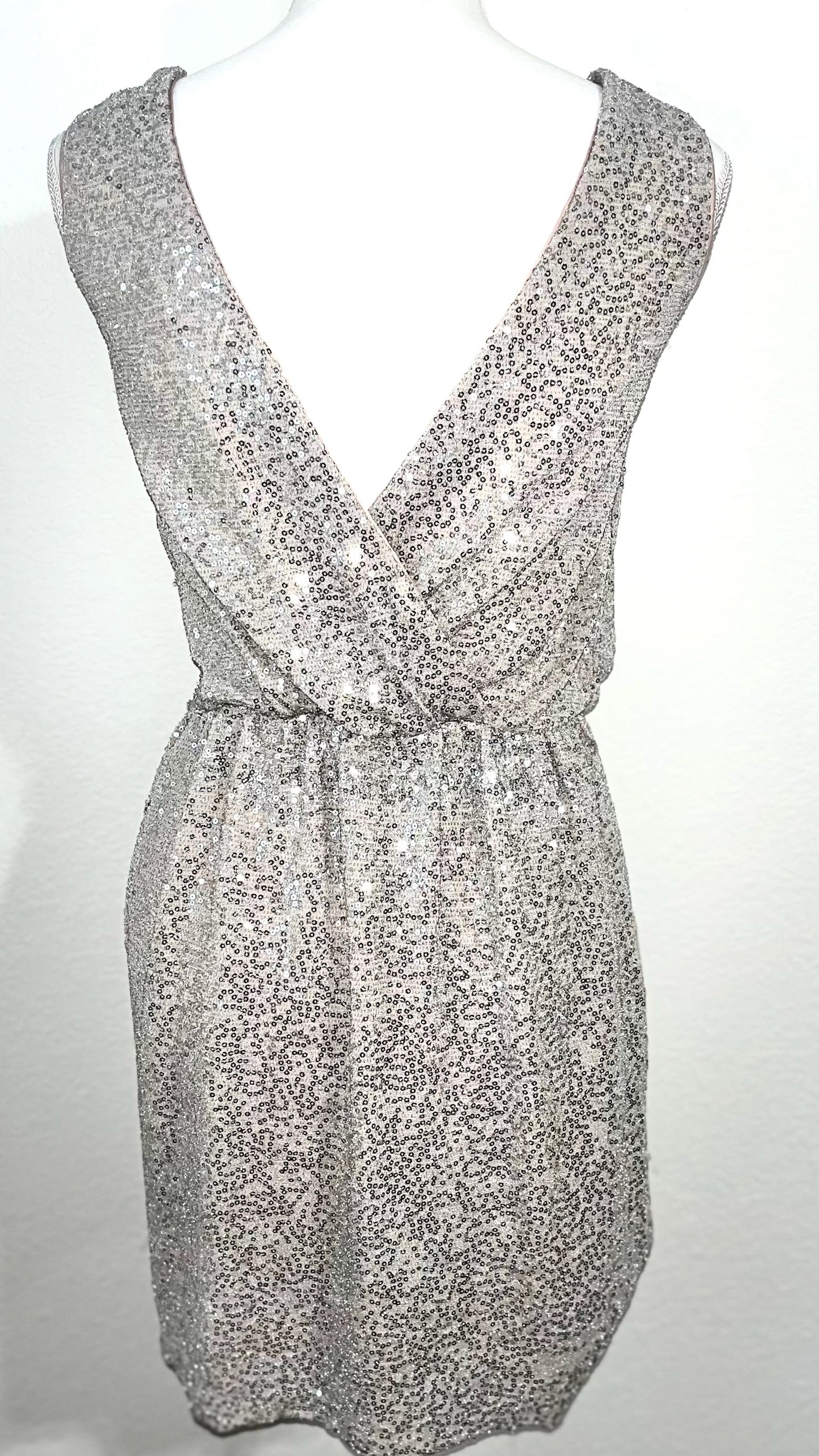 Silver Sequin Dress