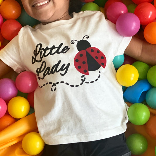 Little Ladybug